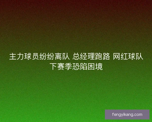 主力球员纷纷离队 总经理跑路 网红球队下赛季恐陷困境